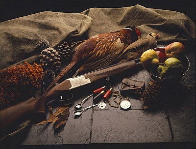 Winchester Firearms editorial